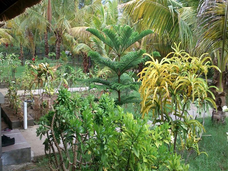 Fantastic Cottages Gili Meno Exterior photo